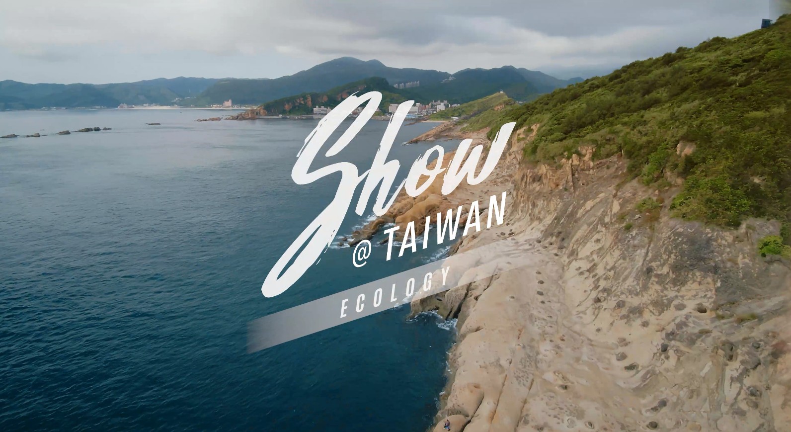 「Show@Taiwan」Ecology(30's)